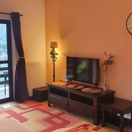 Relaxing Balcony Apartment Sinaia Dış mekan fotoğraf