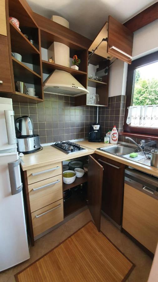 Relaxing Balcony Apartment Sinaia Dış mekan fotoğraf