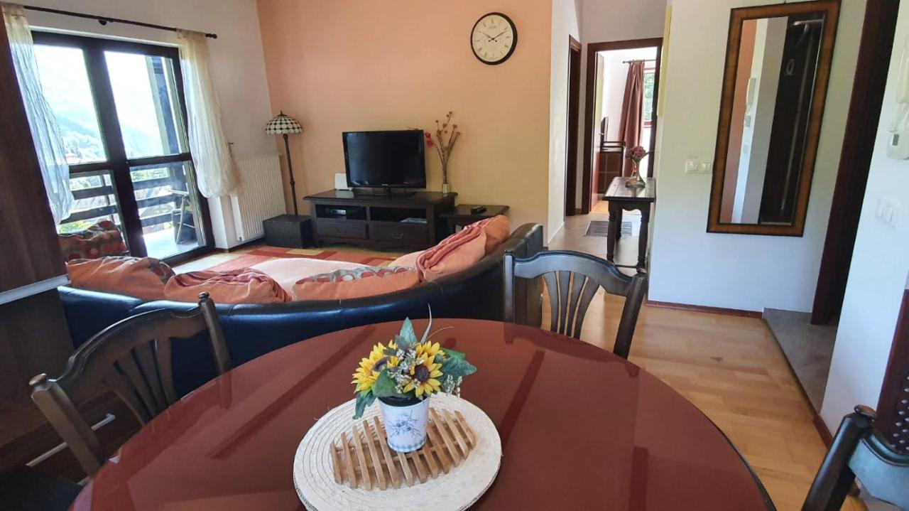 Relaxing Balcony Apartment Sinaia Dış mekan fotoğraf