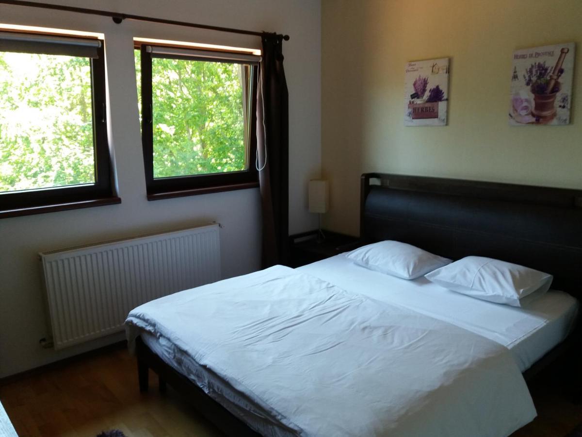 Relaxing Balcony Apartment Sinaia Dış mekan fotoğraf