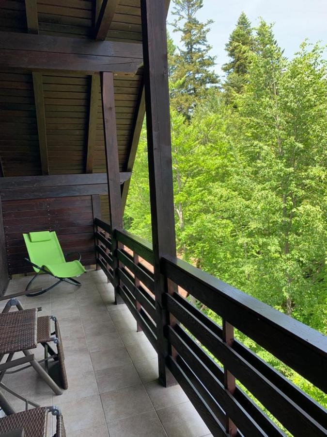 Relaxing Balcony Apartment Sinaia Dış mekan fotoğraf