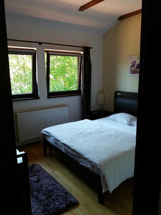 Relaxing Balcony Apartment Sinaia Dış mekan fotoğraf