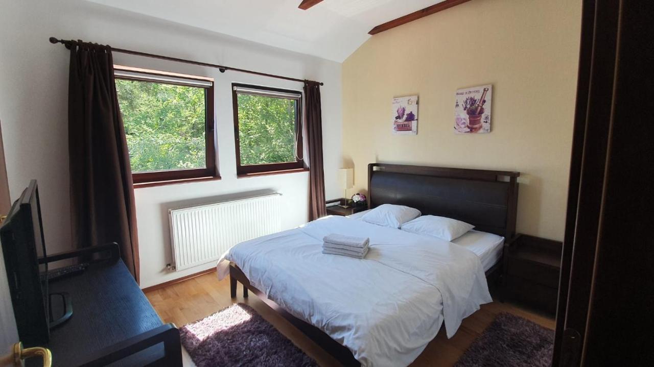 Relaxing Balcony Apartment Sinaia Dış mekan fotoğraf