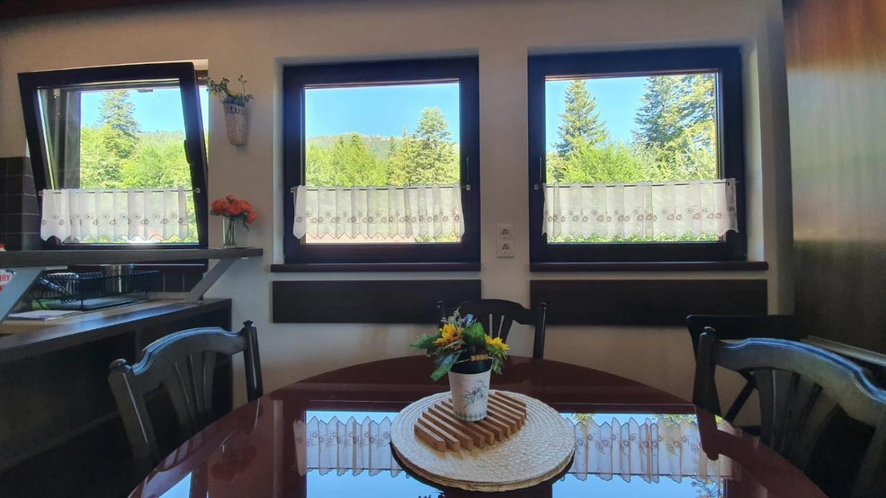 Relaxing Balcony Apartment Sinaia Dış mekan fotoğraf