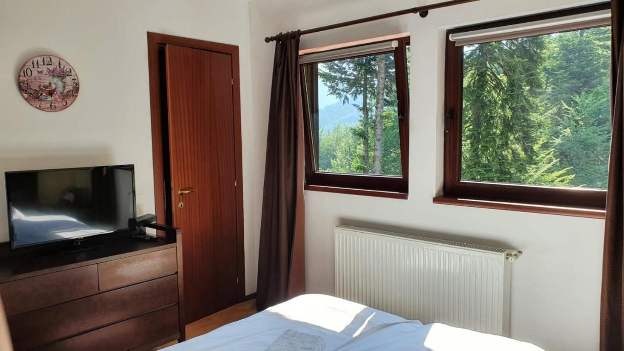 Relaxing Balcony Apartment Sinaia Dış mekan fotoğraf