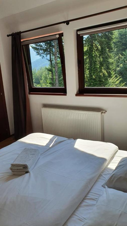 Relaxing Balcony Apartment Sinaia Dış mekan fotoğraf