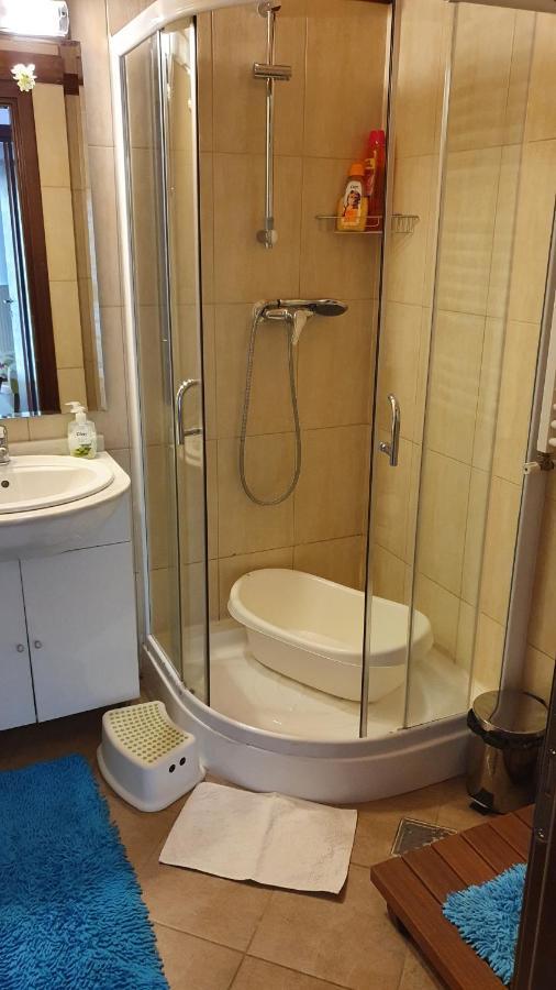 Relaxing Balcony Apartment Sinaia Dış mekan fotoğraf
