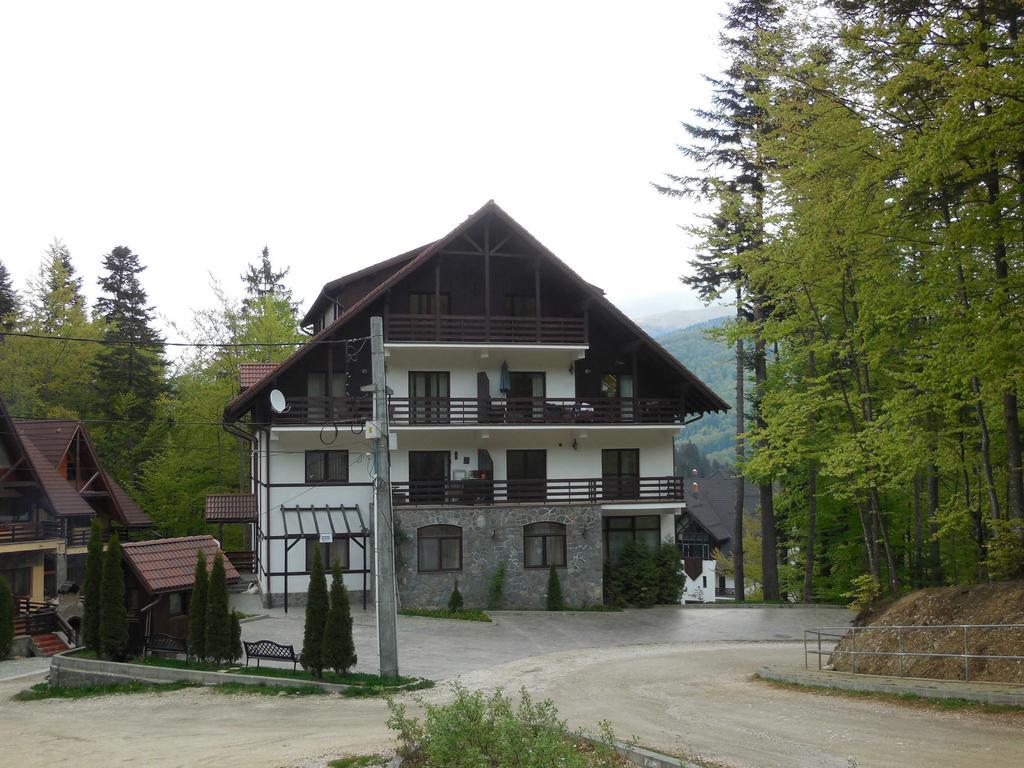 Relaxing Balcony Apartment Sinaia Dış mekan fotoğraf