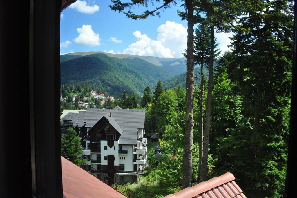 Relaxing Balcony Apartment Sinaia Dış mekan fotoğraf
