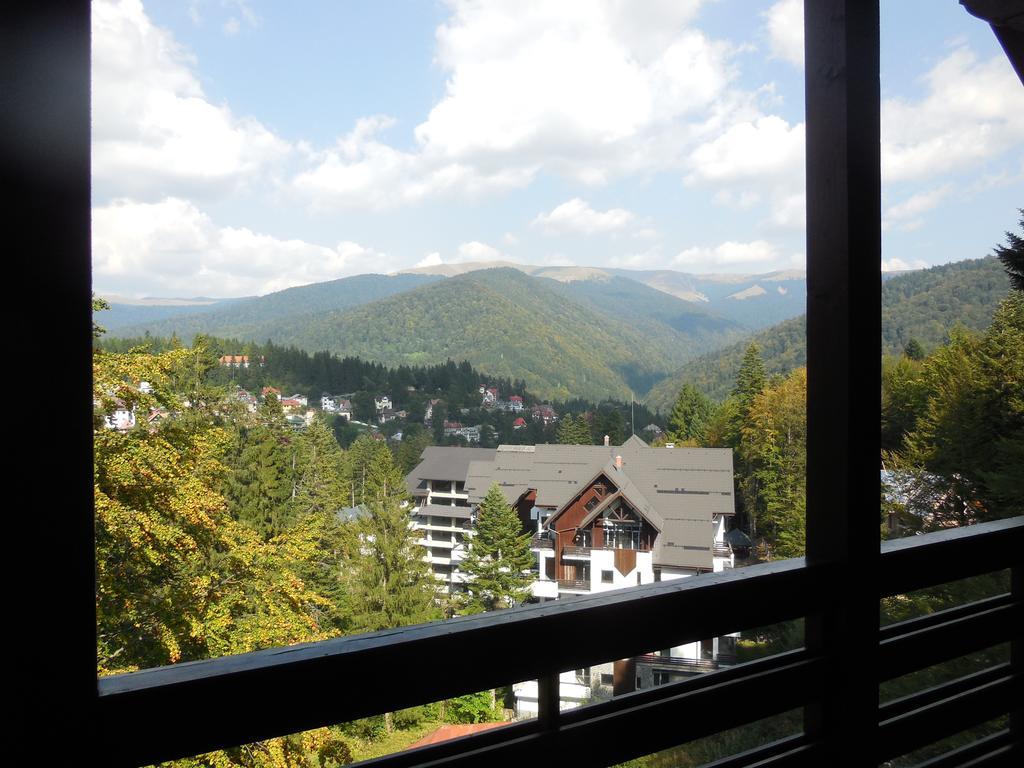 Relaxing Balcony Apartment Sinaia Dış mekan fotoğraf